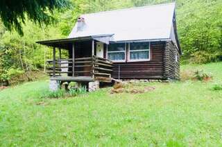 Дома для отпуска Rustic Tiny House in Polish Mountains Laliki Дом с 2 спальнями-1
