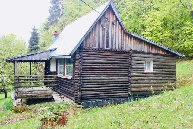 Дома для отпуска Rustic Tiny House in Polish Mountains Laliki-12